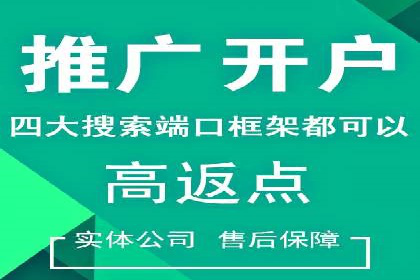 搜索引擎营销（SEM）广告投放的五大成功案例